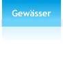 Gewsser